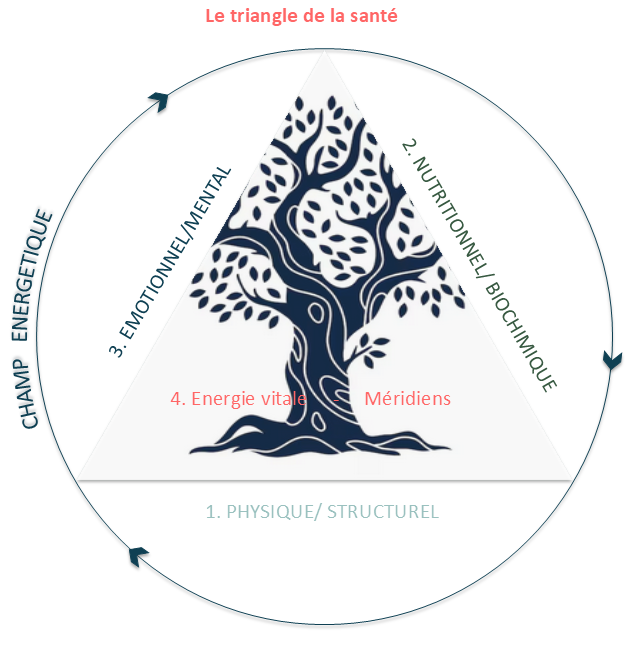 Triangle de la santé